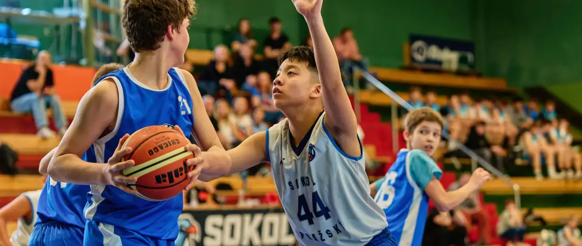 7.-8.3. výsledkový servis