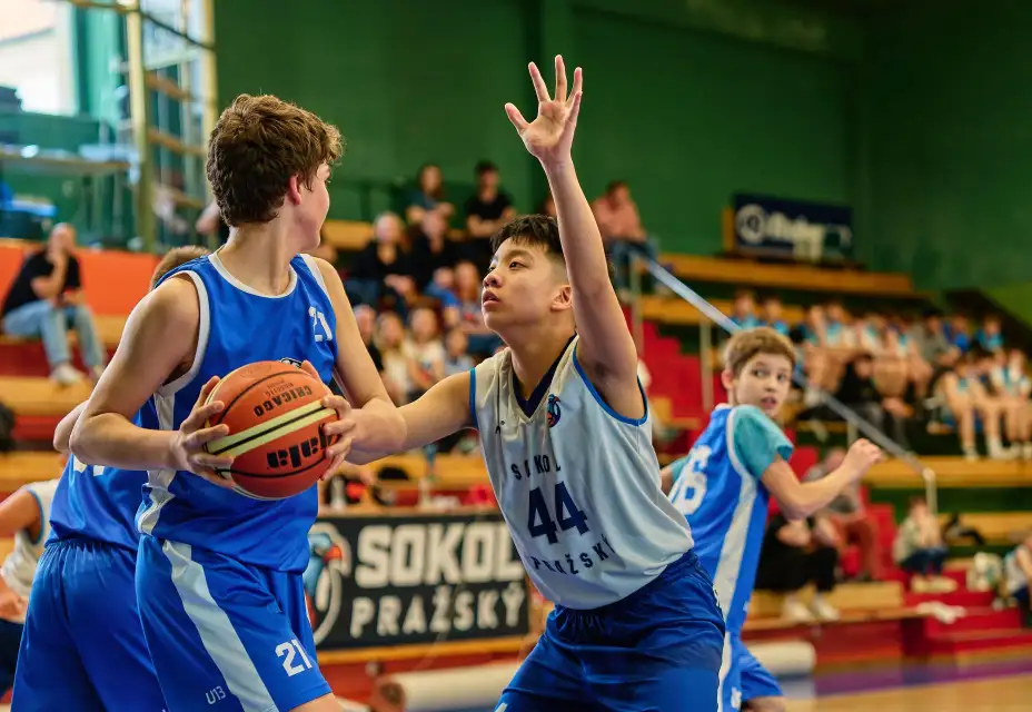 7.-8.3. výsledkový servis