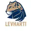 BK Levharti Chomutov 